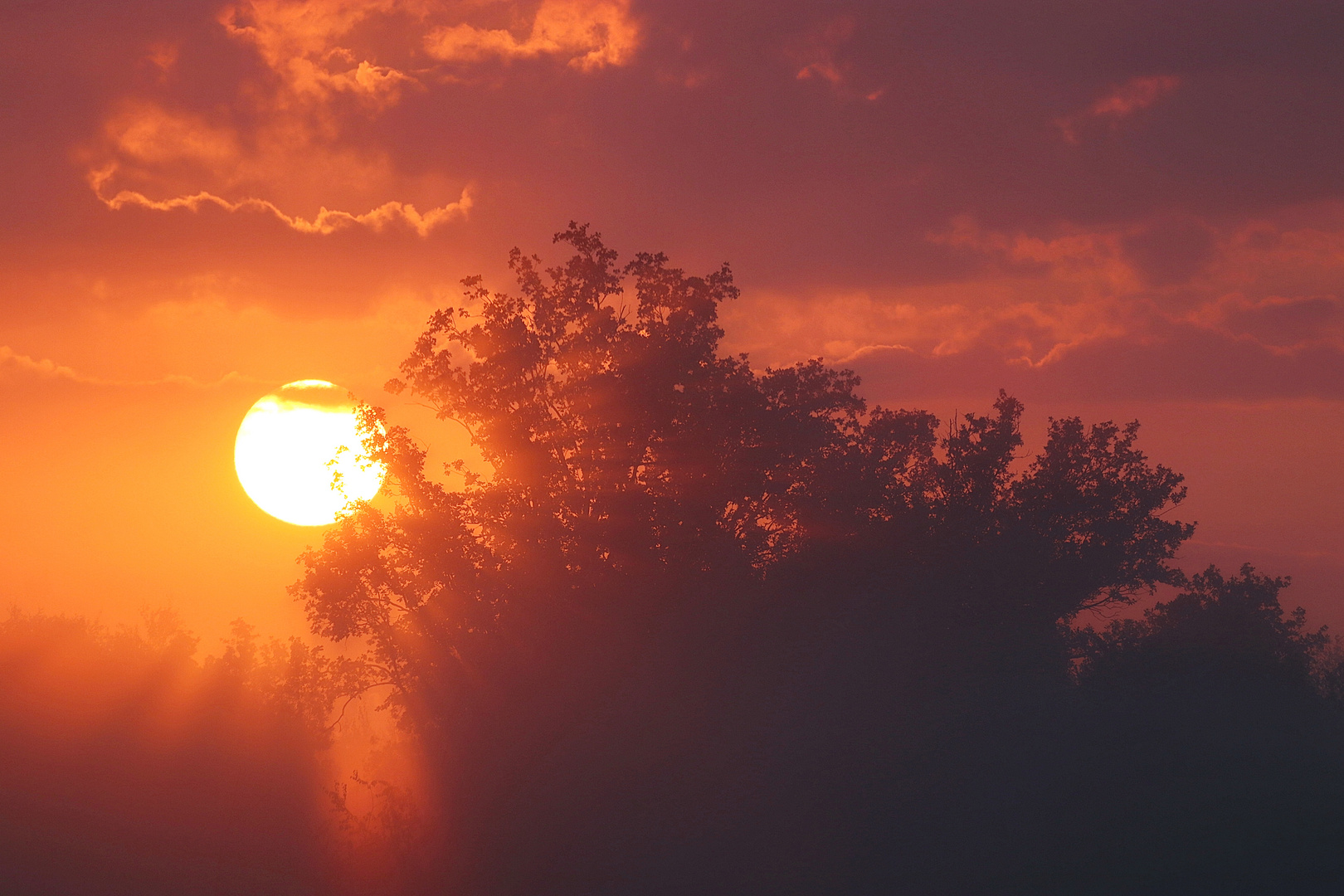 Sonnenaufgang im Fotorevier