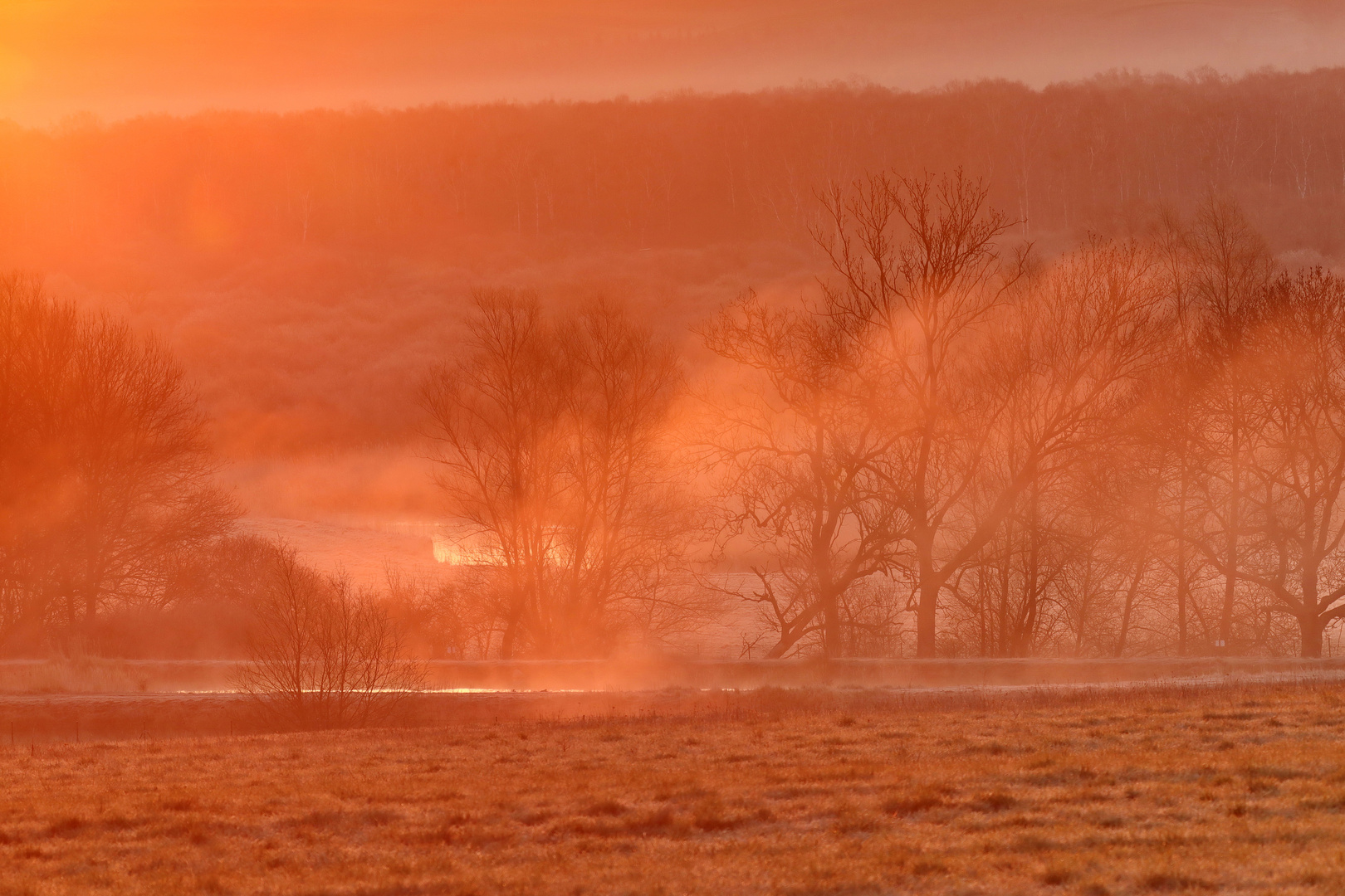 Sonnenaufgang im Fotorevier