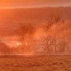 Sonnenaufgang im Fotorevier