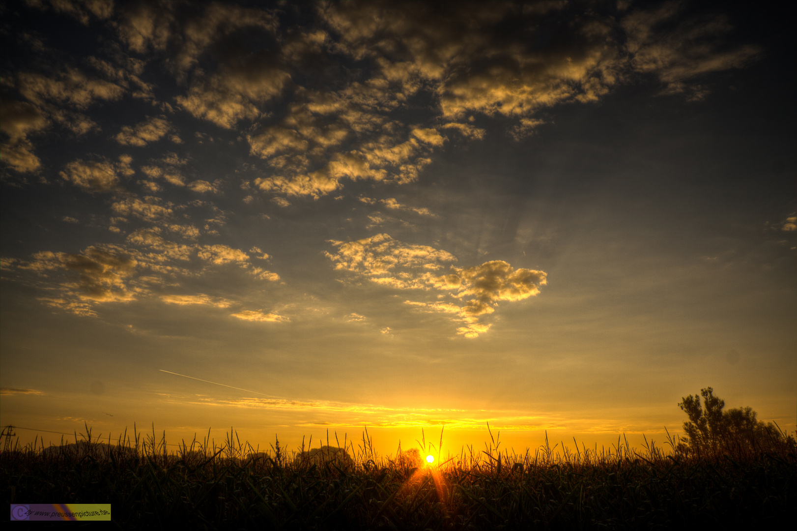 Sonnenaufgang im Freisinger Moos