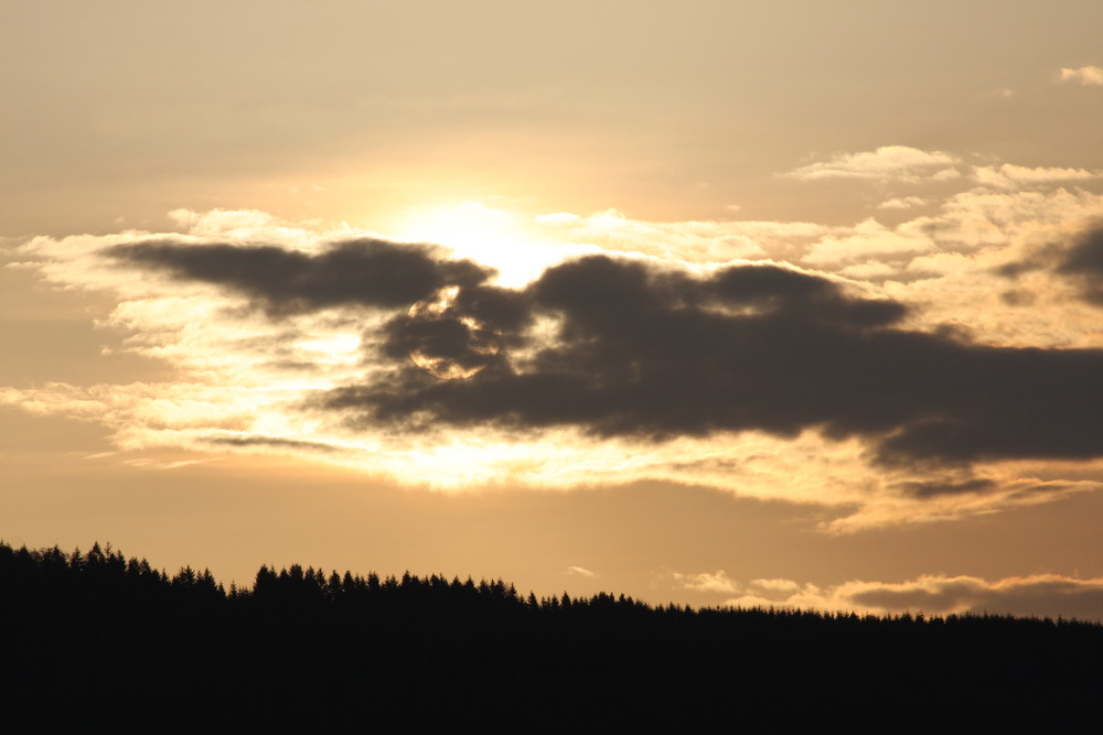 Sonnenaufgang im Frühjahr