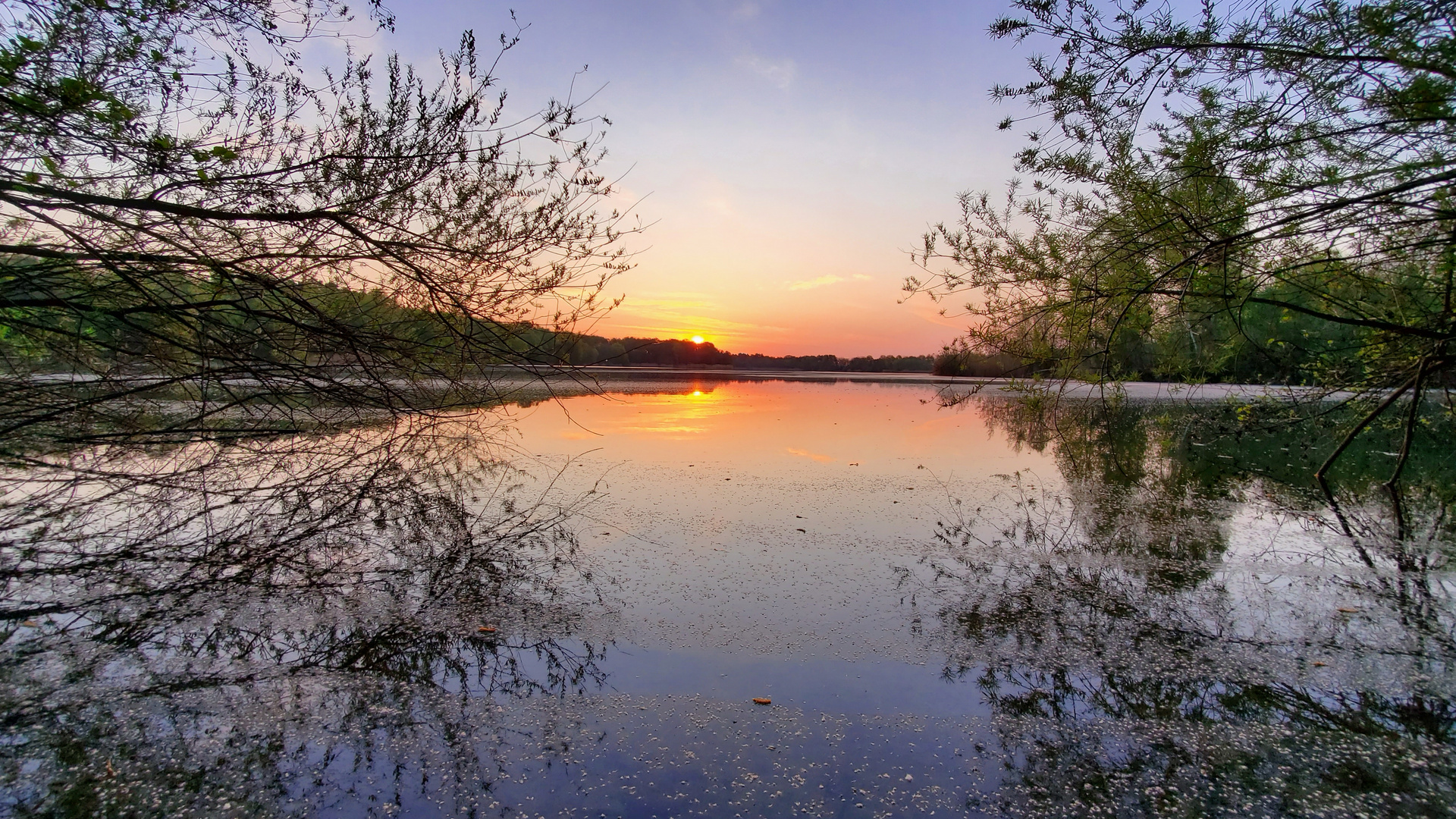 Sonnenaufgang im Frühling