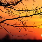 Sonnenaufgang im Frühling