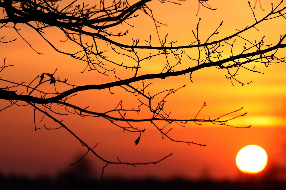 Sonnenaufgang im Frühling