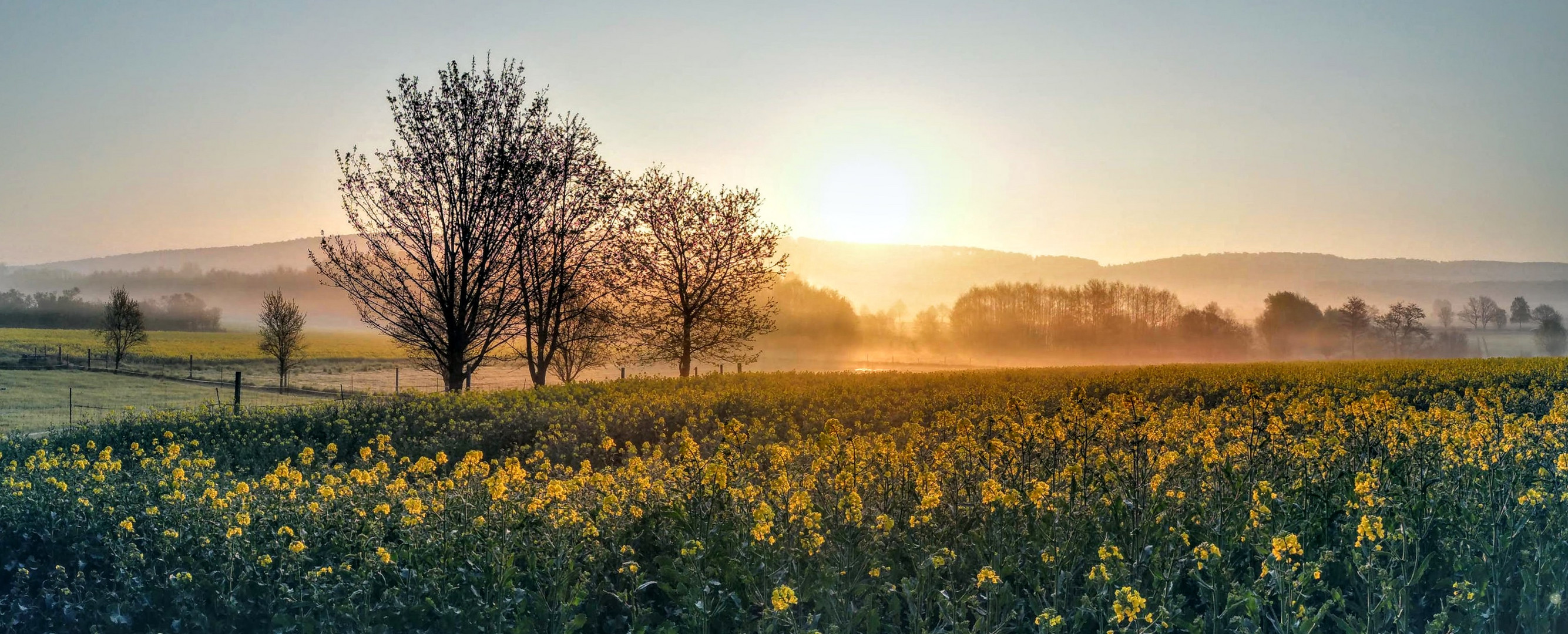 Sonnenaufgang im Frühling