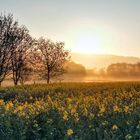 Sonnenaufgang im Frühling