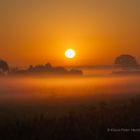 Sonnenaufgang im Frühnebel