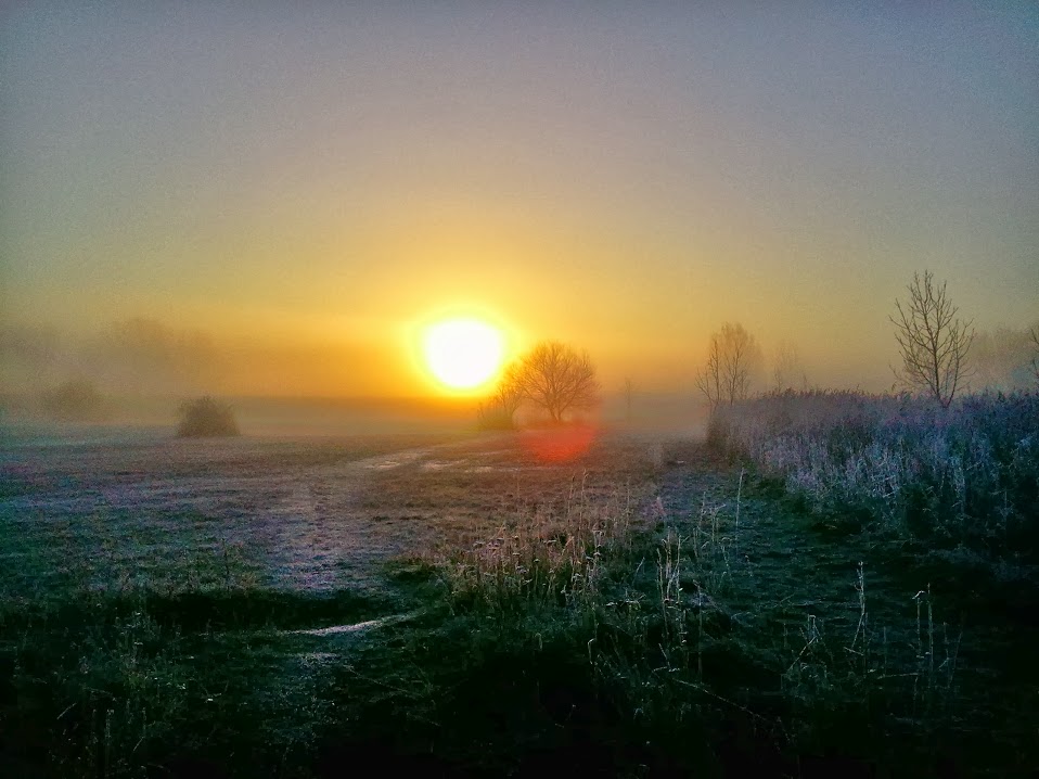 Sonnenaufgang im Frühnebel