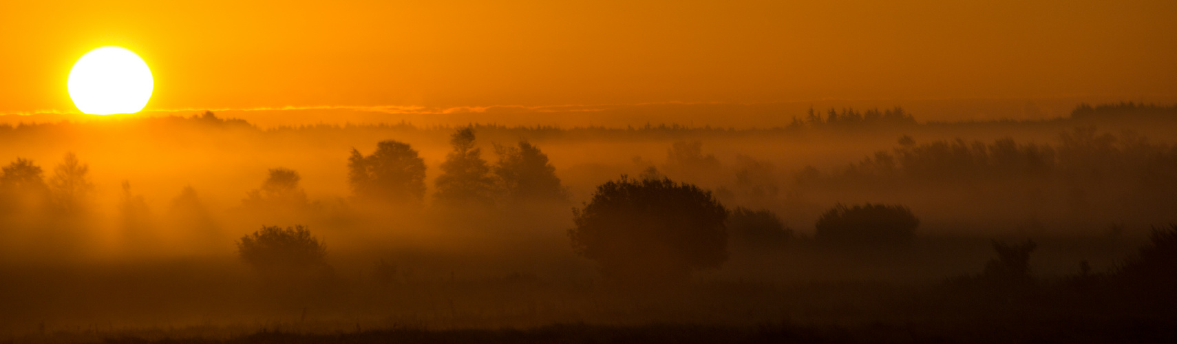 Sonnenaufgang im Frühnebel