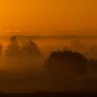 Sonnenaufgang im Frühnebel