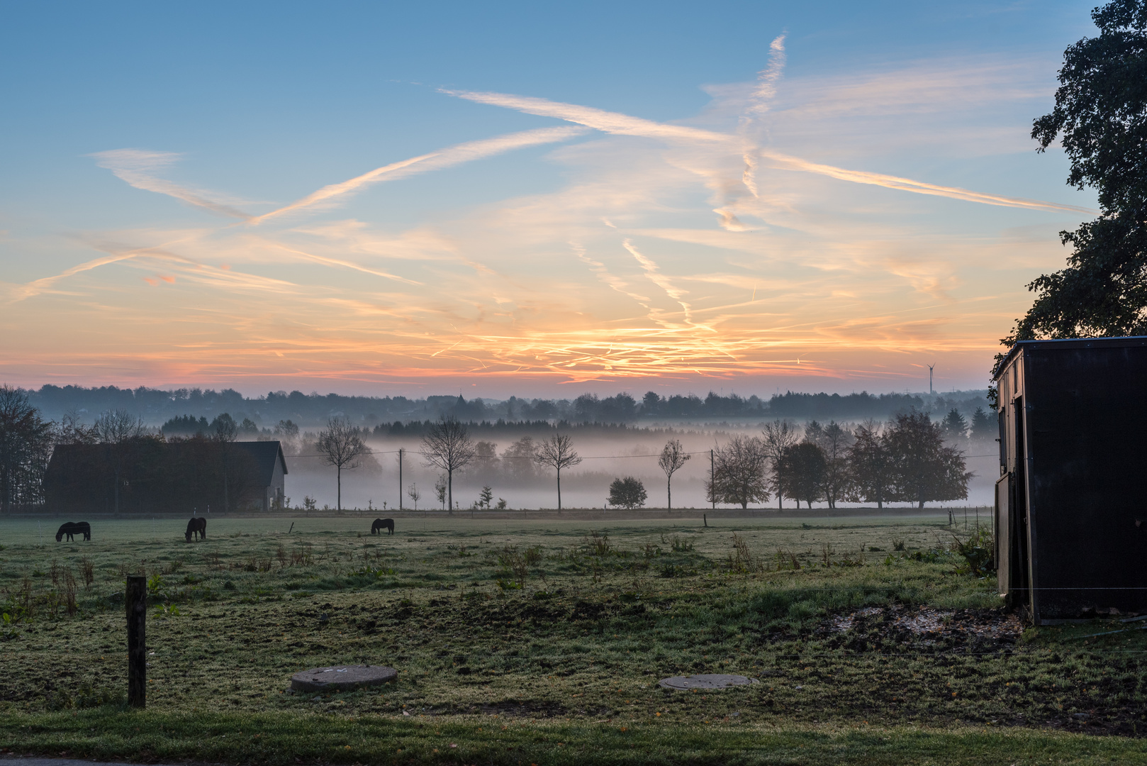 Sonnenaufgang im Frühnebel