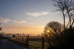 Sonnenaufgang im Gebüsch