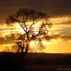 Sonnenaufgang im Gegenlicht