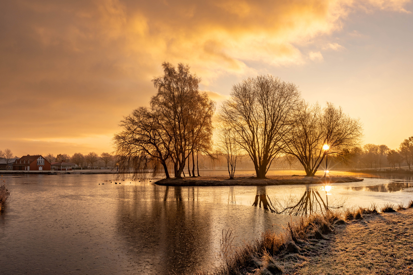 Sonnenaufgang im Gegenlicht Raureif am 1.12.2023