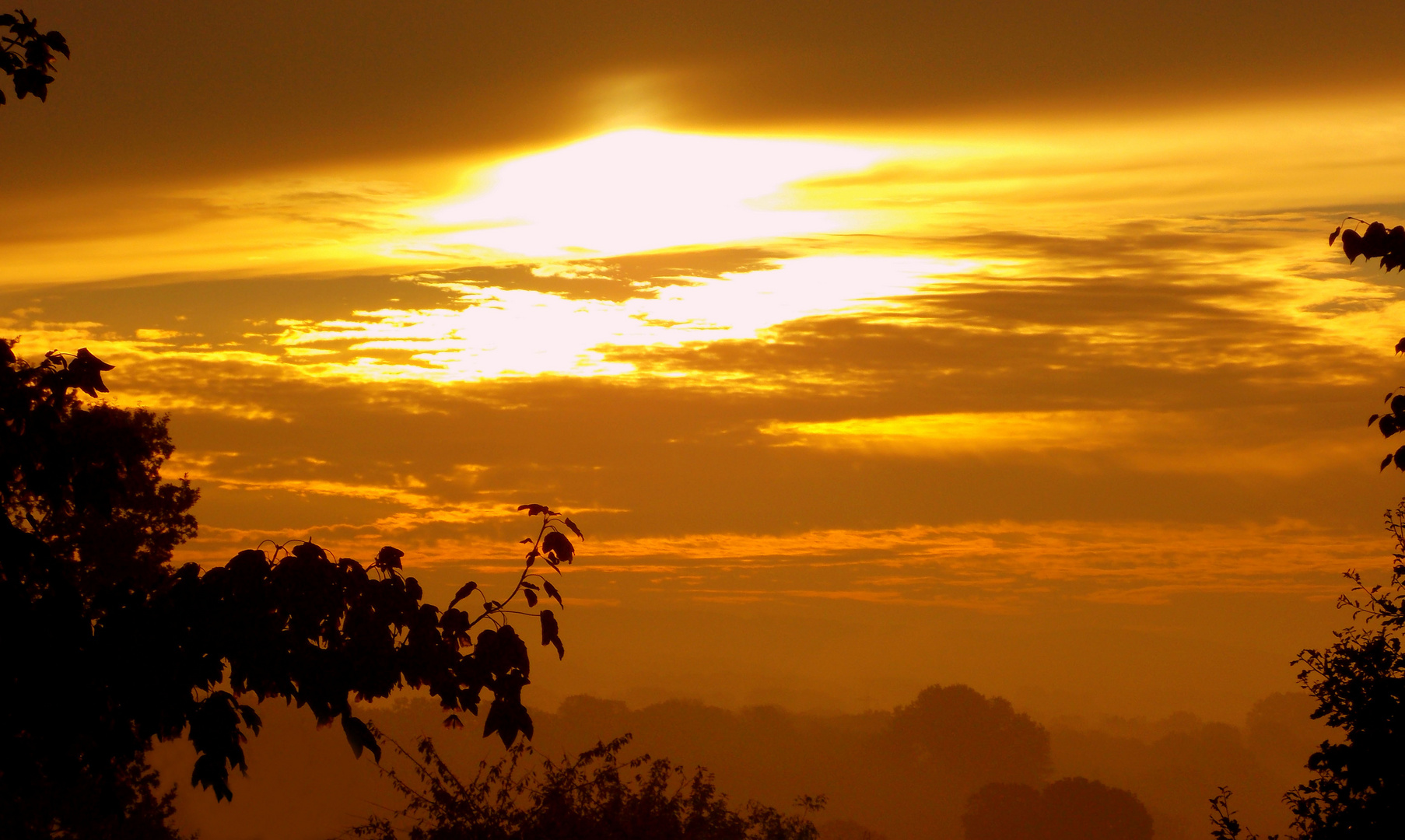 Sonnenaufgang im goldenen Oktober