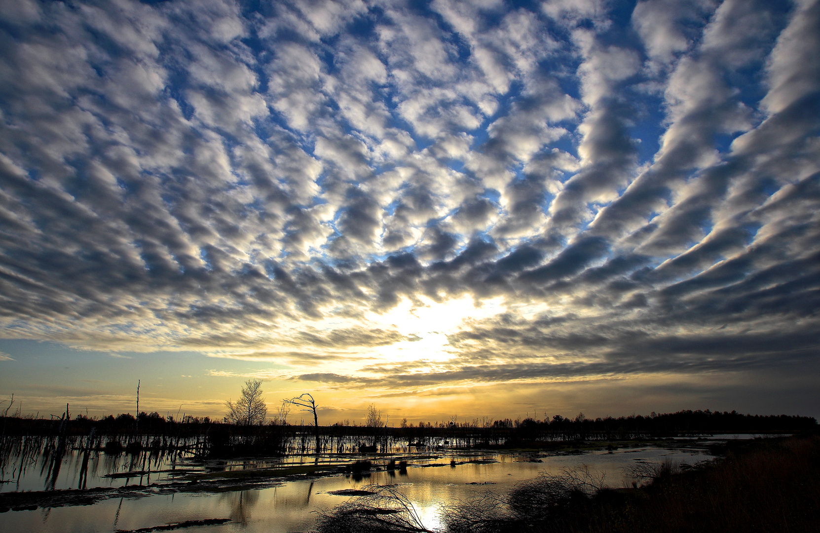 Sonnenaufgang im Goldenstedter Moor