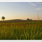 Sonnenaufgang im Gras