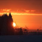 Sonnenaufgang im Großen Moor