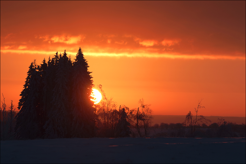 Sonnenaufgang im Großen Moor