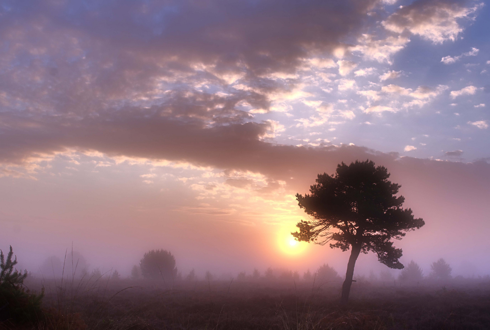 Sonnenaufgang im Großen Moor