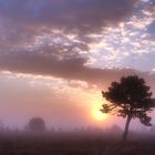 Sonnenaufgang im Großen Moor