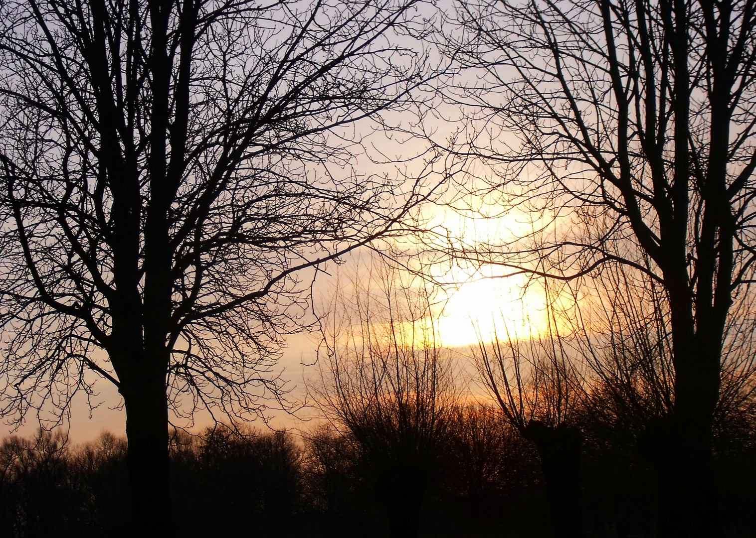 Sonnenaufgang im grünen Winkel