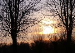 Sonnenaufgang im grünen Winkel