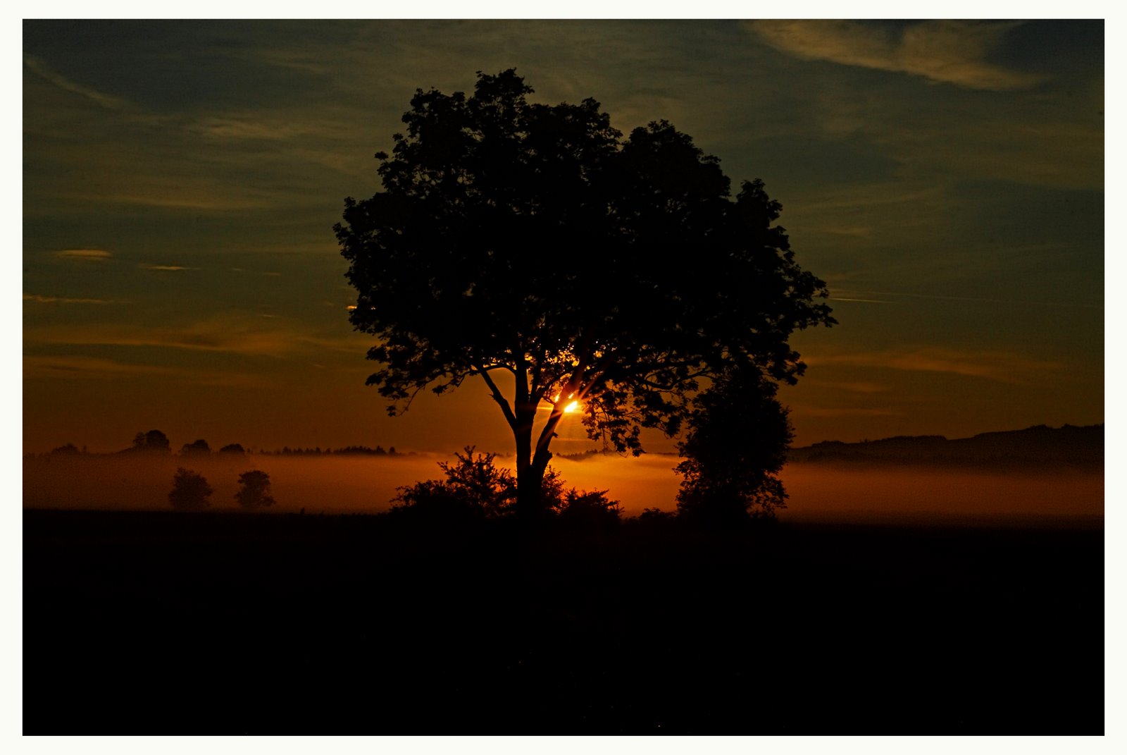 Sonnenaufgang im Haarmoos