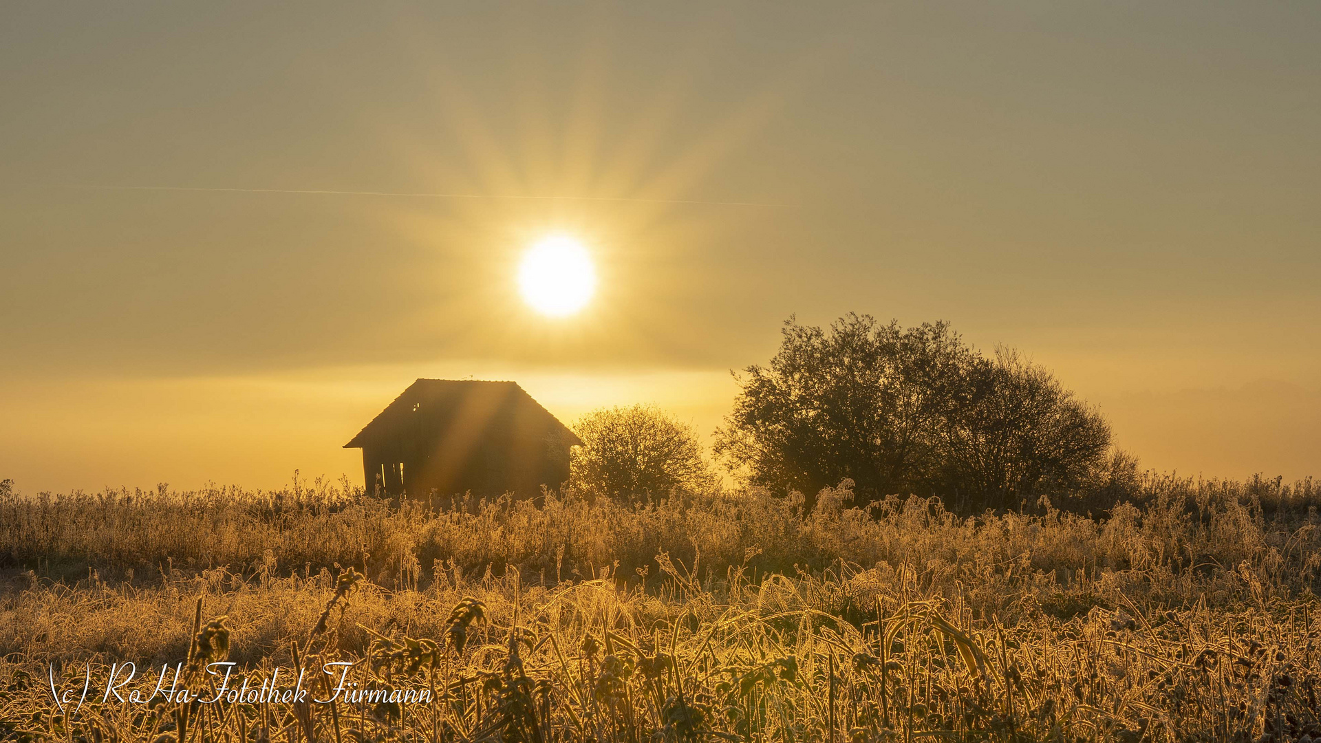 Sonnenaufgang im Haarmoos - Rupertiwinkel