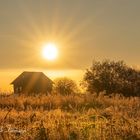 Sonnenaufgang im Haarmoos - Rupertiwinkel