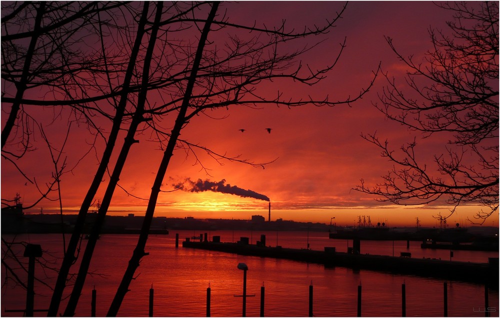 Sonnenaufgang im Hafen