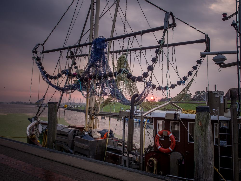 Sonnenaufgang im Hafen