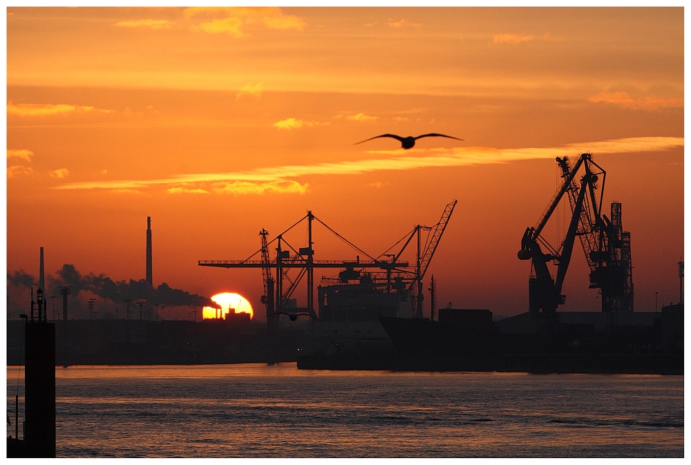 Sonnenaufgang im Hafen