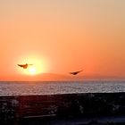 Sonnenaufgang im Hafen von Agios Konstantinos