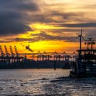 Sonnenaufgang im Hamburger Hafen - 3