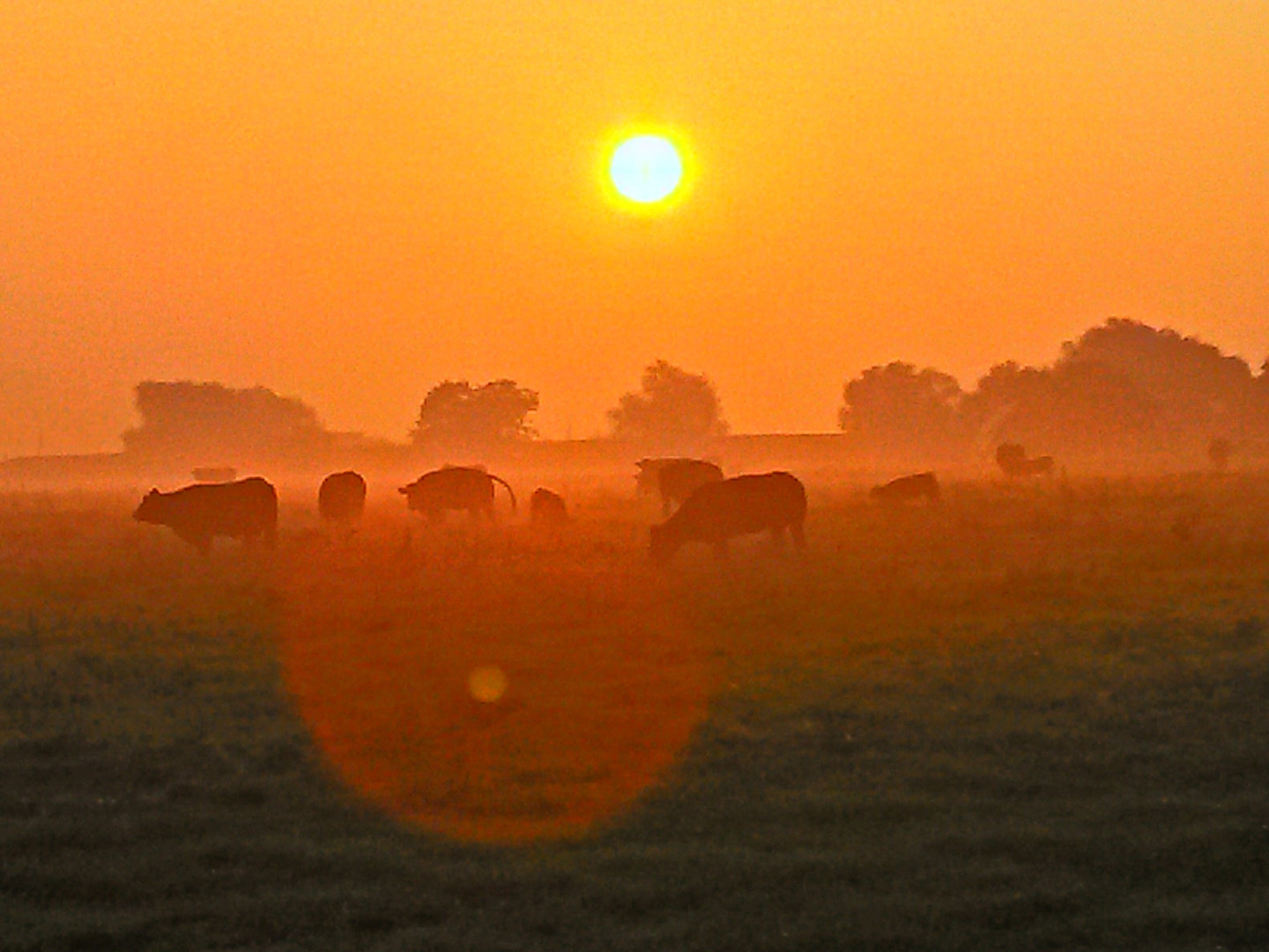 sonnenaufgang im hamrich