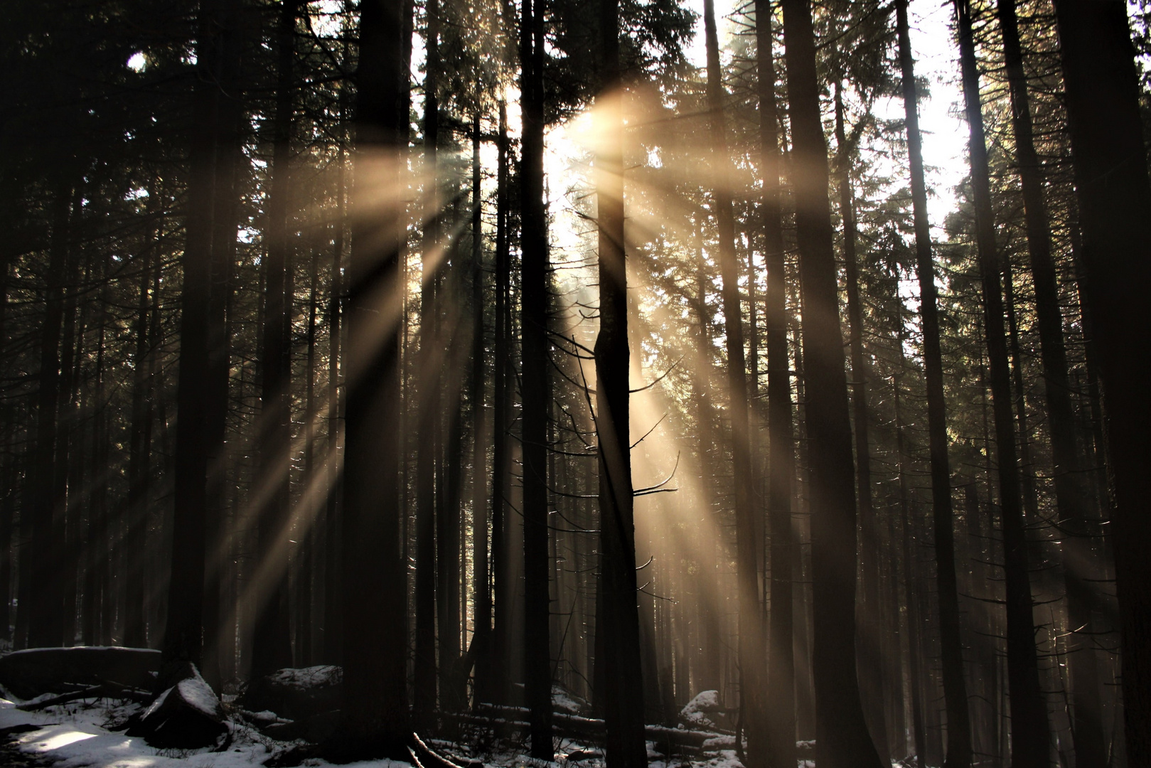 Sonnenaufgang im Harz