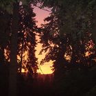 Sonnenaufgang im Harz 2