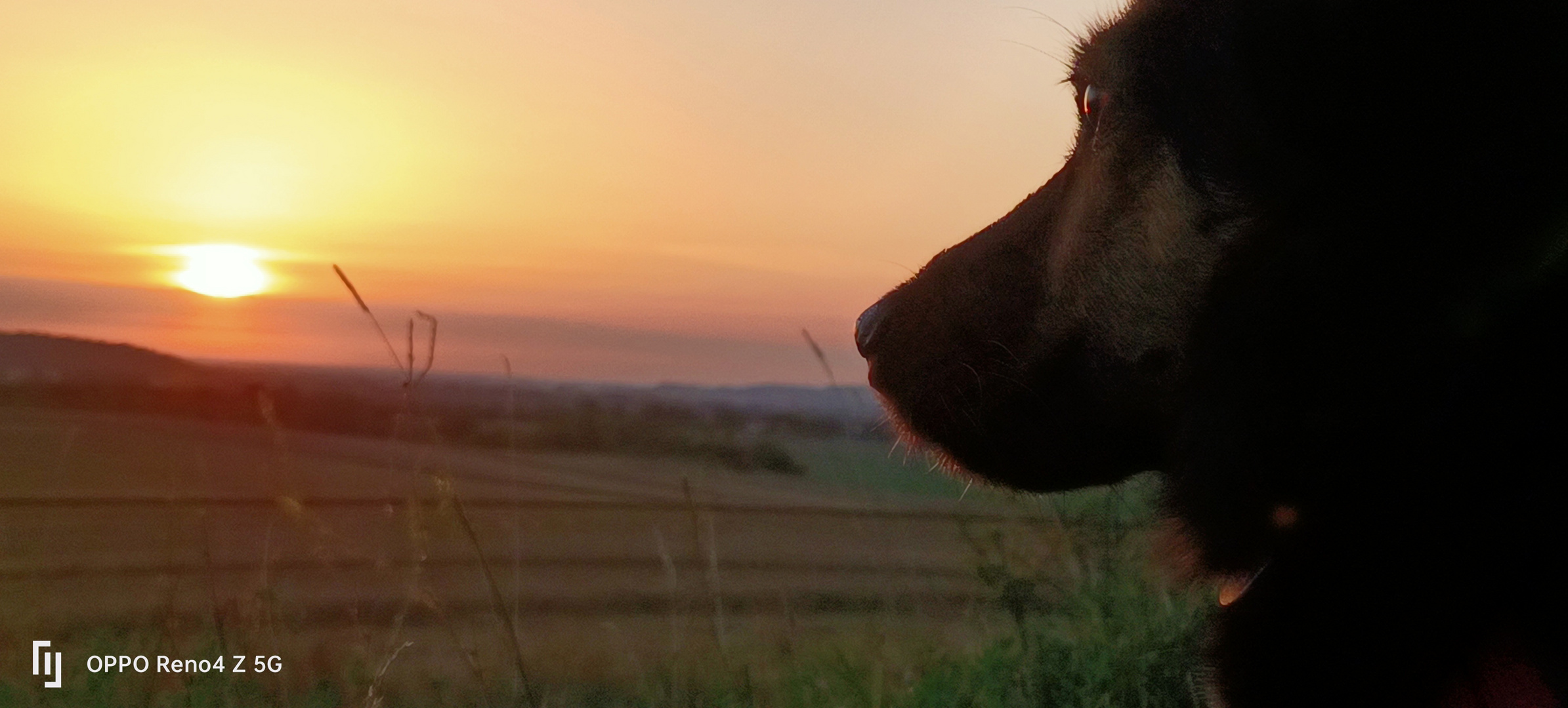 Sonnenaufgang im Harz 