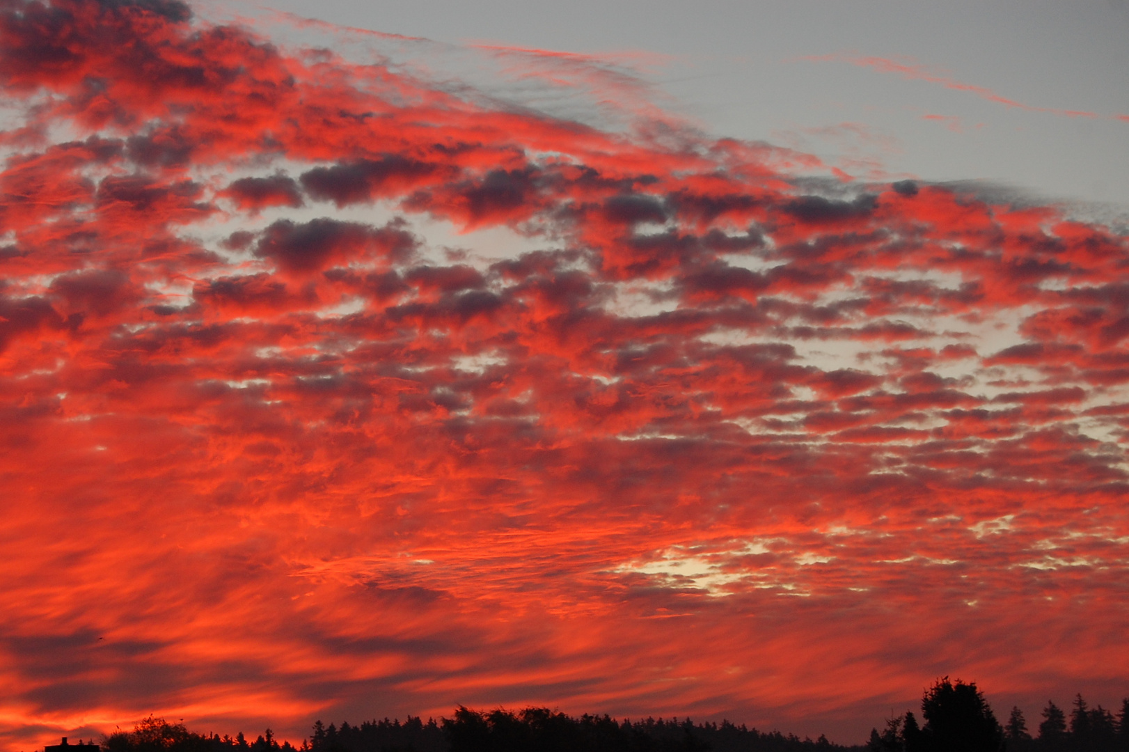 Sonnenaufgang im Harz...