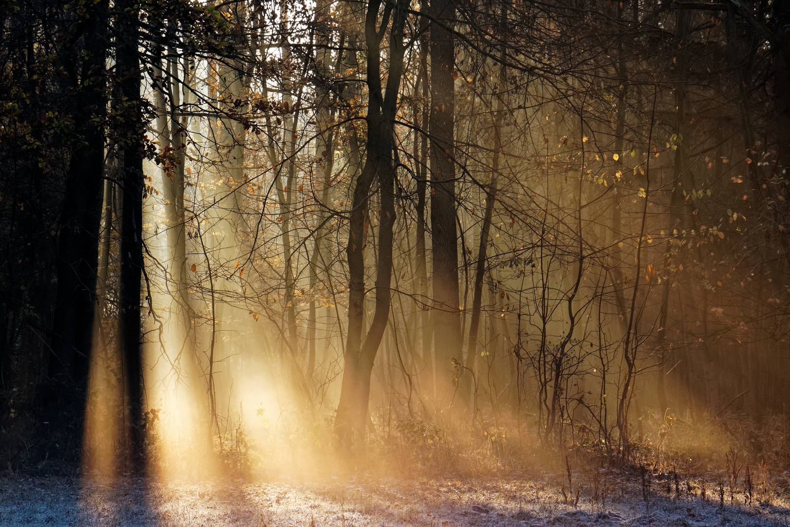 Sonnenaufgang im Harz