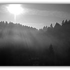 Sonnenaufgang im Harz