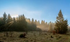 Sonnenaufgang im Harz