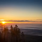 Sonnenaufgang im Harz