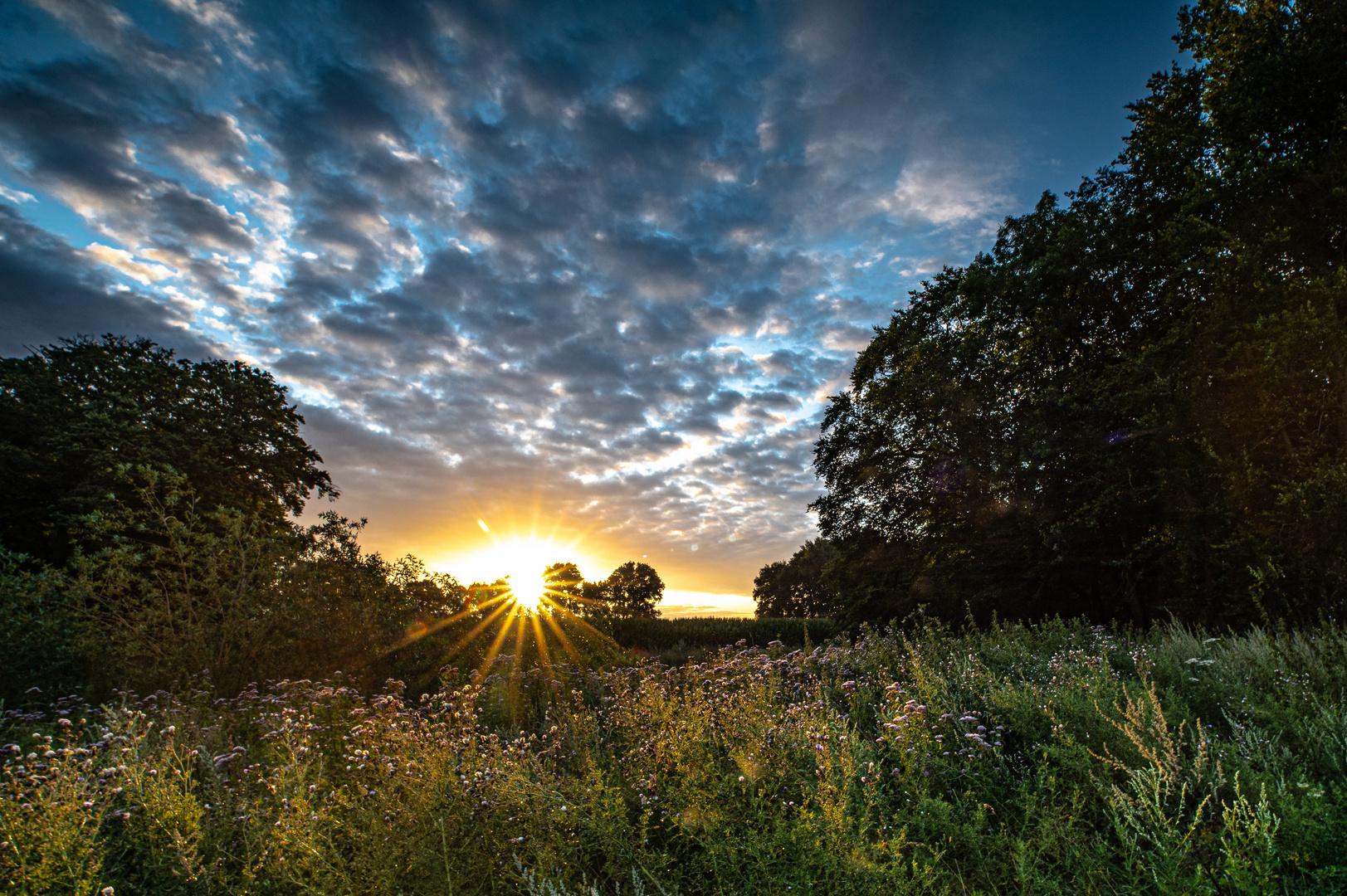 Sonnenaufgang im Hase-Urstromtal