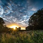 Sonnenaufgang im Hase-Urstromtal