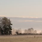 Sonnenaufgang im Hebstnebel