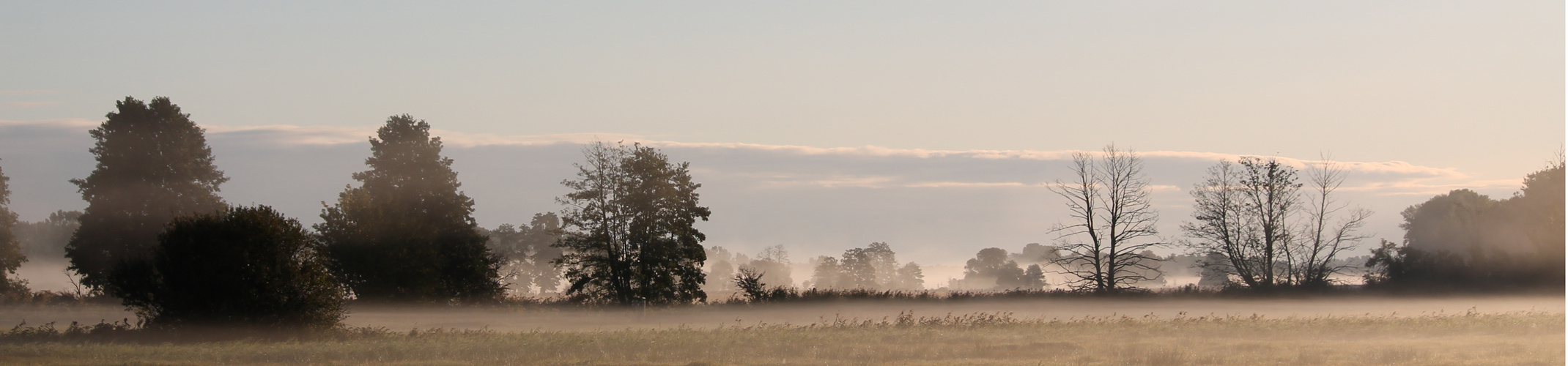 Sonnenaufgang im Hebstnebel