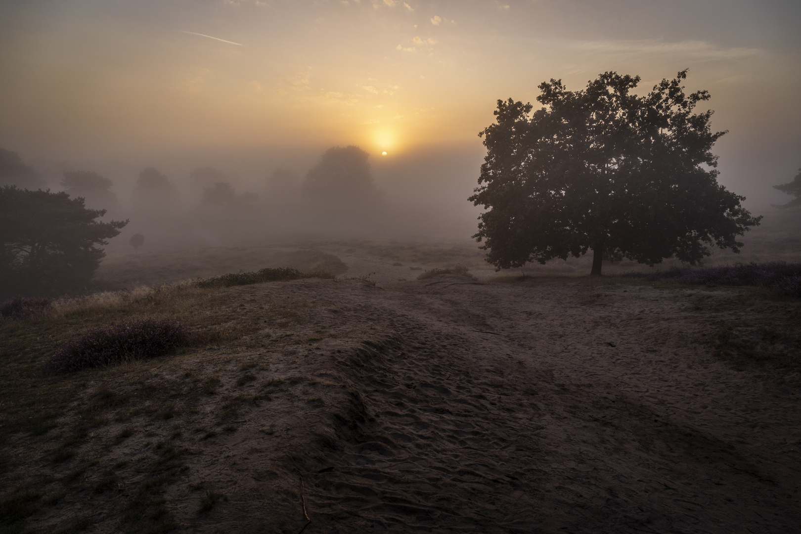 Sonnenaufgang im Heideland