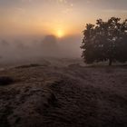 Sonnenaufgang im Heideland